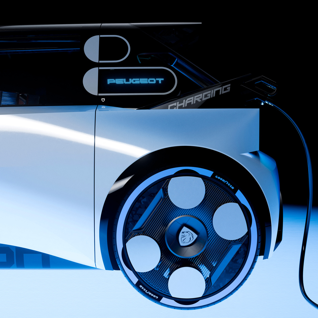 SMALL_POLYGON_2511STYP_305_FULL-SIZE